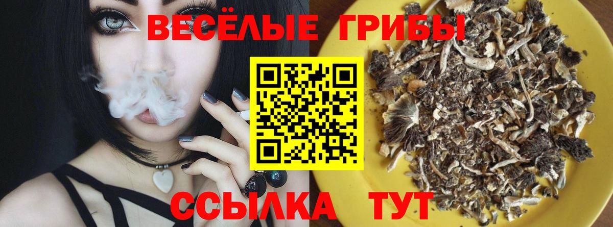 Галлюциногенные грибы ЛСД Чита